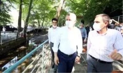 Avcıköy Hasanpınar Mesire Alanı büyük beğeni topladı Avcıköy Hasanpınar Mesire Alanı büyük beğeni topladı