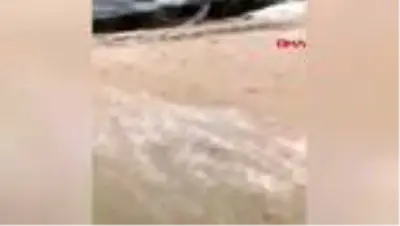 Çin'i Hagupit tayfunu vurdu Çin'i Hagupit tayfunu vurdu