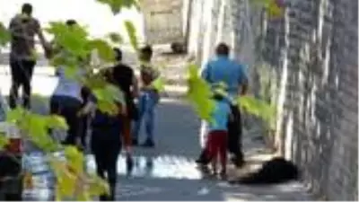 Genç kadın, bugün boşandığı eski eşi tarafından silahla vurularak öldürüldü Genç kadın, bugün boşandığı eski eşi tarafından silahla vurularak öldürüldü