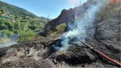 Gümüşhane'de otlar tutuştu, çok sayıda bahçe küle döndü Gümüşhane'de otlar tutuştu, çok sayıda bahçe küle döndü