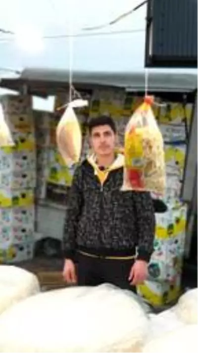 Hamza'nın ölümüne neden olan kardeşlere 'ağırlaştırılmış müebbet' isteniyor Hamza'nın ölümüne neden olan kardeşlere 'ağırlaştırılmış müebbet' isteniyor