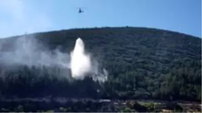 Kahramanmaraş'ta orman yangını Kahramanmaraş'ta orman yangını