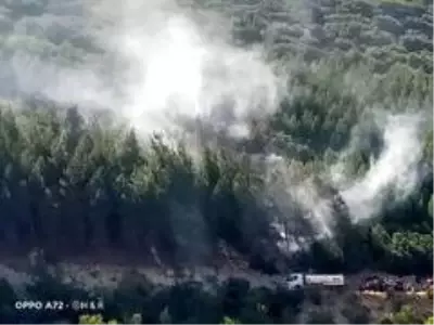 Kahramanmaraş'ta orman yangını Kahramanmaraş'ta orman yangını
