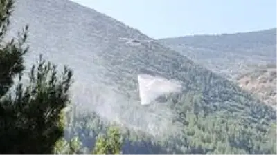 Kahramanmaraş'ta orman yangını Kahramanmaraş'ta orman yangını