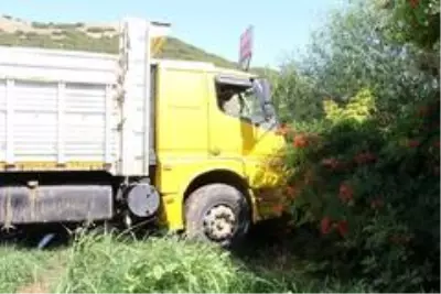 Son dakika haberi! Kendi kullandığı kamyonun altında kalan genç hayatını kaybetti Son dakika haberi! Kendi kullandığı kamyonun altında kalan genç hayatını kaybetti