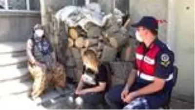 KENDİSİNİ KURTARAN JANDARMA ASTSUBAYA TEŞEKKÜR ETTİ KENDİSİNİ KURTARAN JANDARMA ASTSUBAYA TEŞEKKÜR ETTİ