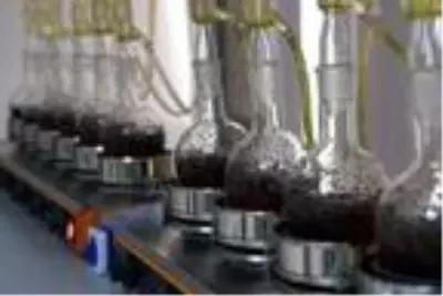 Kuru çay kalitesinde 4 kritere dikkat Kuru çay kalitesinde 4 kritere dikkat