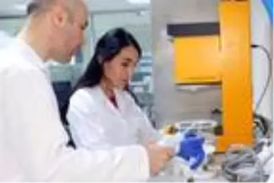 Kuru çay kalitesinde 4 kritere dikkat Kuru çay kalitesinde 4 kritere dikkat