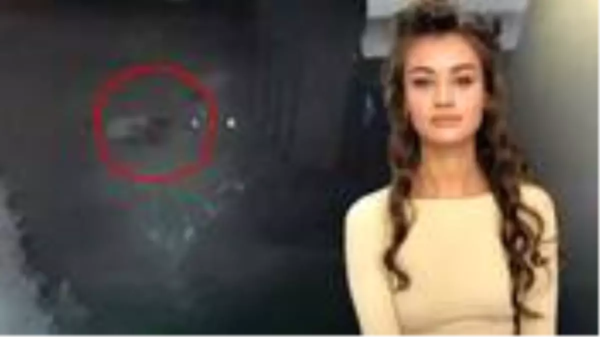 Model Daria Kyryliuk'un şiddet gördüğü olaylı gecenin görüntüleri ortaya çıktı