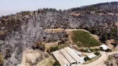 Orman yangınında evi küle döndü, gözyaşlarını tutamadı Orman yangınında evi küle döndü, gözyaşlarını tutamadı