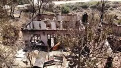 Orman yangınında evi küle döndü, gözyaşlarını tutamadı Orman yangınında evi küle döndü, gözyaşlarını tutamadı