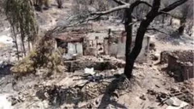 Orman yangınında evi küle döndü, gözyaşlarını tutamadı Orman yangınında evi küle döndü, gözyaşlarını tutamadı