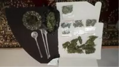 Polis 283 kök hint keneviri ele geçirdi Polis 283 kök hint keneviri ele geçirdi