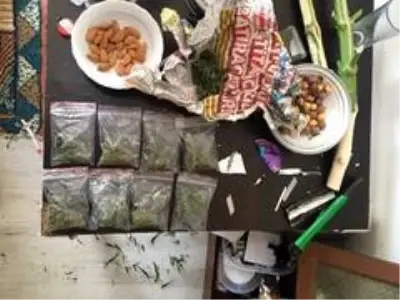 Polis 283 kök hint keneviri ele geçirdi Polis 283 kök hint keneviri ele geçirdi