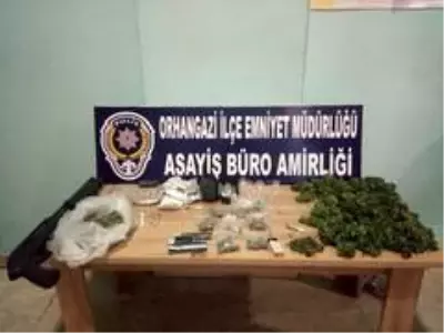 Polis 283 kök hint keneviri ele geçirdi Polis 283 kök hint keneviri ele geçirdi