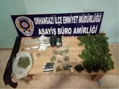 Polis 283 kök hint keneviri ele geçirdi Polis 283 kök hint keneviri ele geçirdi
