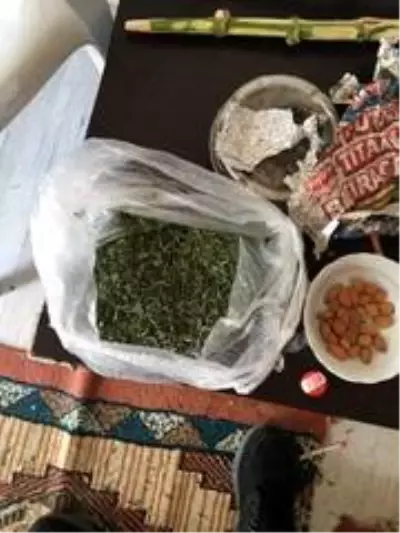 Polis 283 kök hint keneviri ele geçirdi Polis 283 kök hint keneviri ele geçirdi