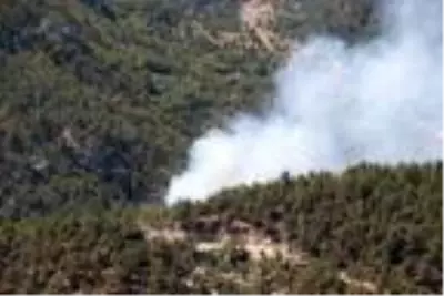 Sinop'taki orman yangını 'ateş kuşu'nun desteğiyle kontrol altında (2) Sinop'taki orman yangını 'ateş kuşu'nun desteğiyle kontrol altında (2)
