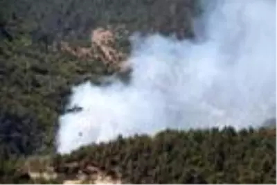 Sinop'taki orman yangını 'ateş kuşu'nun desteğiyle kontrol altında (2) Sinop'taki orman yangını 'ateş kuşu'nun desteğiyle kontrol altında (2)