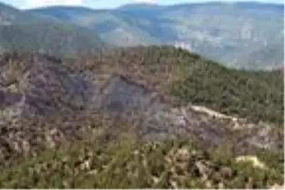 Sinop'taki orman yangını 'ateş kuşu'nun desteğiyle kontrol altında (2) Sinop'taki orman yangını 'ateş kuşu'nun desteğiyle kontrol altında (2)