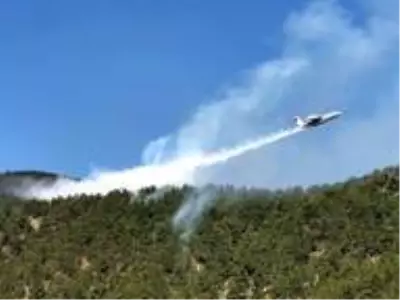 Sinop'taki orman yangını kontrol altına alındı Sinop'taki orman yangını kontrol altına alındı