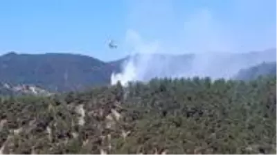 Sinop'taki orman yangını kontrol altına alındı Sinop'taki orman yangını kontrol altına alındı