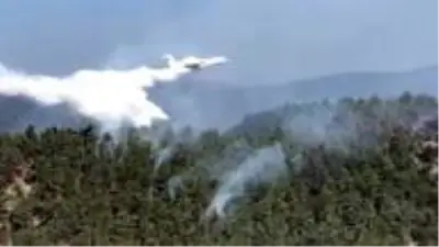 Sinop'taki orman yangınına havadan müdahale ediliyor Sinop'taki orman yangınına havadan müdahale ediliyor
