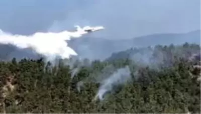 Sinop'taki orman yangınına havadan müdahale ediliyor Sinop'taki orman yangınına havadan müdahale ediliyor