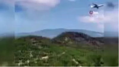 Son dakika... Sinop'taki orman yangınına havadan müdahale ediliyor Son dakika... Sinop'taki orman yangınına havadan müdahale ediliyor