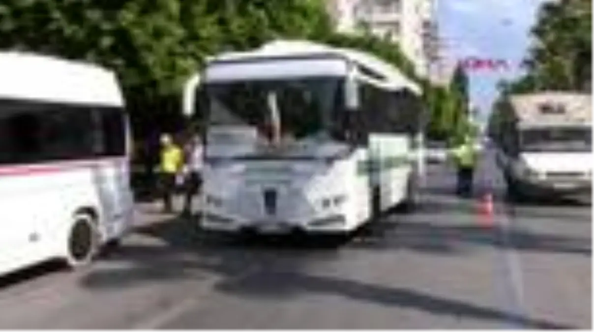 Sulama kanalına düşen yaban domuzunu belediye ekipleri kurtardı