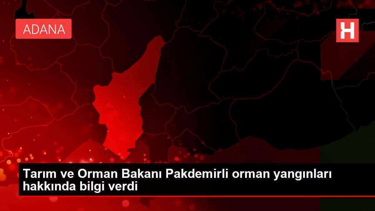 Tarım ve Orman Bakanı Pakdemirli orman yangınları hakkında bilgi verdi Tarım ve Orman Bakanı Pakdemirli orman yangınları hakkında bilgi verdi