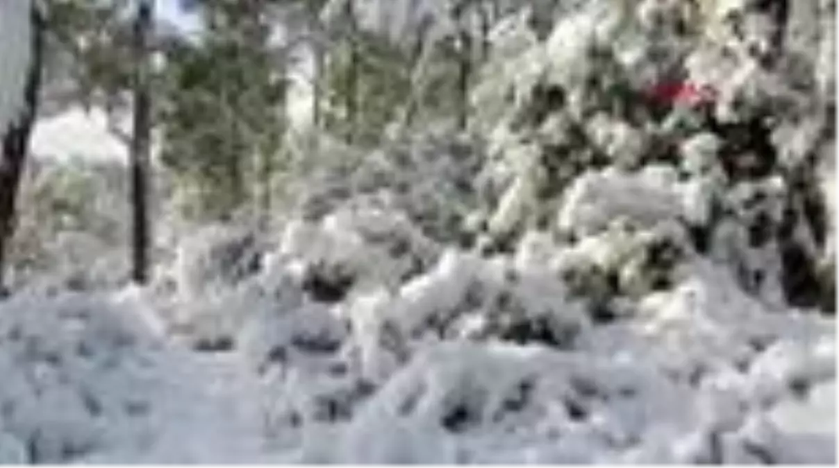 Tazmanya'da Cradle Dağı Antartika karlarıyla kaplandı