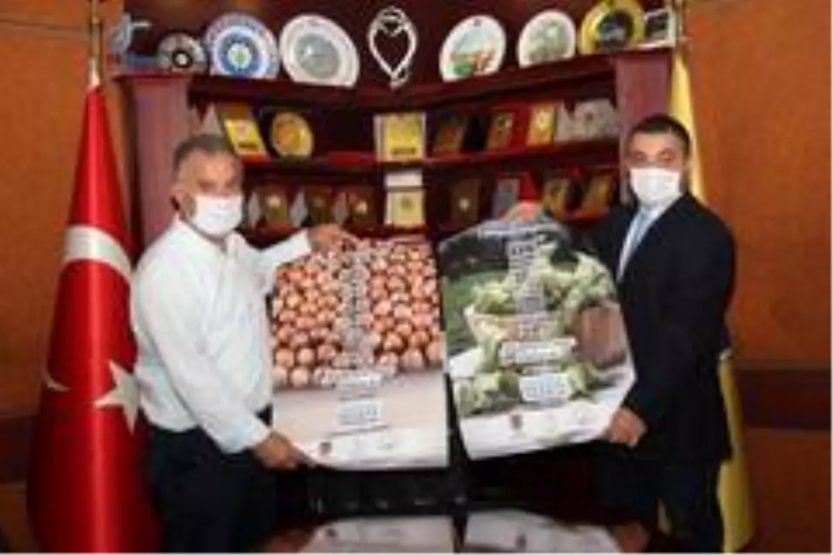 TTB Başkanı Eyyüp Ergan'dan fındık hasadı öncesi Covid-19 uyarısı