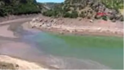 Son dakika haberi: TUNCELİ Gülistan Doku'dan 213'üncü günde de iz yok; su seviyesi 15 metre düştü