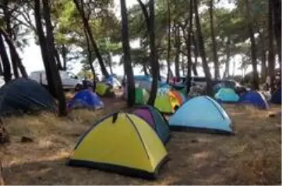 Virüs sonrası çadır turizmine rağbet Virüs sonrası çadır turizmine rağbet