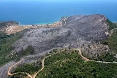 Menderes'teki orman yangınıyla ilgili gözaltına alınan piknikçi tutuklandı