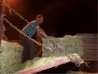Yangın mağduru üreticilere büyükşehir desteği Yangın mağduru üreticilere büyükşehir desteği