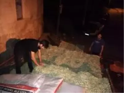 Yangın mağduru üreticilere büyükşehir desteği Yangın mağduru üreticilere büyükşehir desteği