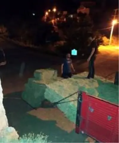 Yangın mağduru üreticilere büyükşehir desteği Yangın mağduru üreticilere büyükşehir desteği