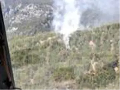 Yıldırım düşen ormanda yangın çıktı Yıldırım düşen ormanda yangın çıktı