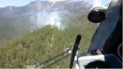Yıldırım düşen ormanda yangın çıktı Yıldırım düşen ormanda yangın çıktı
