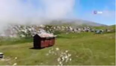 Trabzonlu vatandaş, 7 yıl önce aldığı minübüsü 150 bin TL harcayıp karavana çevirdi Trabzonlu vatandaş, 7 yıl önce aldığı minübüsü 150 bin TL harcayıp karavana çevirdi