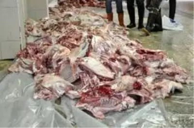 681 aileye kurban eti yardımı yapıldı