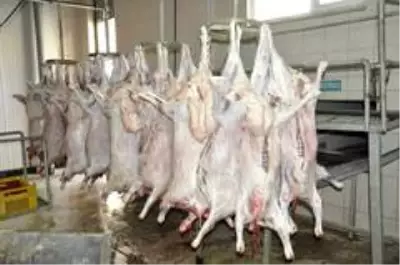 681 aileye kurban eti yardımı yapıldı