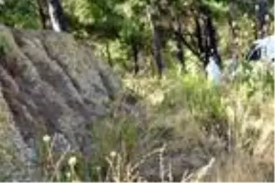 Kıskançlık krizine giren genç, 8 yaşındaki kardeşini bıçaklayarak öldürdü Kıskançlık krizine giren genç, 8 yaşındaki kardeşini bıçaklayarak öldürdü