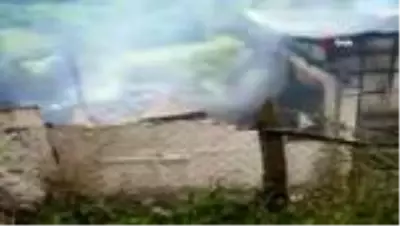 Artvin'de korkutan yangın Artvin'de korkutan yangın