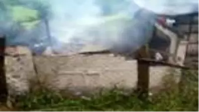Artvin'de korkutan yangın Artvin'de korkutan yangın