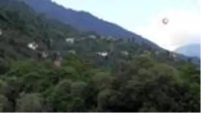 Artvin'de korkutan yangın Artvin'de korkutan yangın