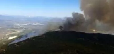 Aydın'daki yangınla ilgili 2 kişi gözaltına alındı Aydın'daki yangınla ilgili 2 kişi gözaltına alındı