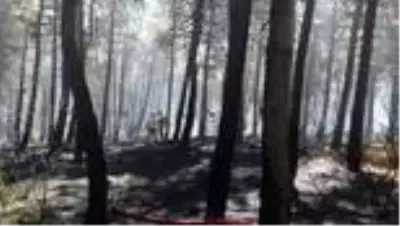 Aydos Ormanı'nda çıkan yangın söndürüldü Aydos Ormanı'nda çıkan yangın söndürüldü